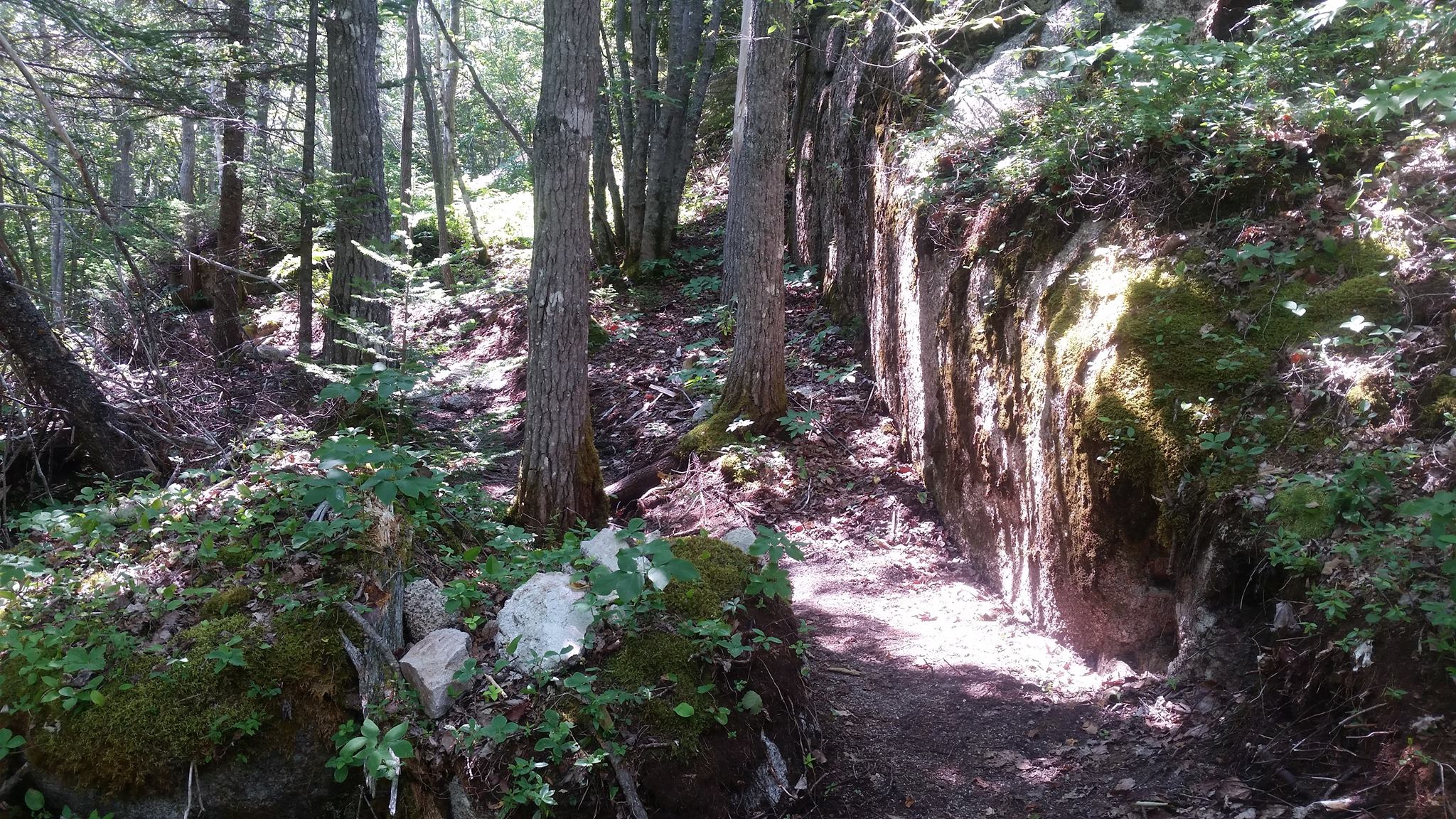 McIntosh trail opening 20170925 Williams Lake Conservation Company