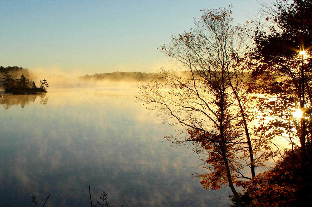 Halifax Wilderness Park in our hood... - Williams Lake Conservation Company