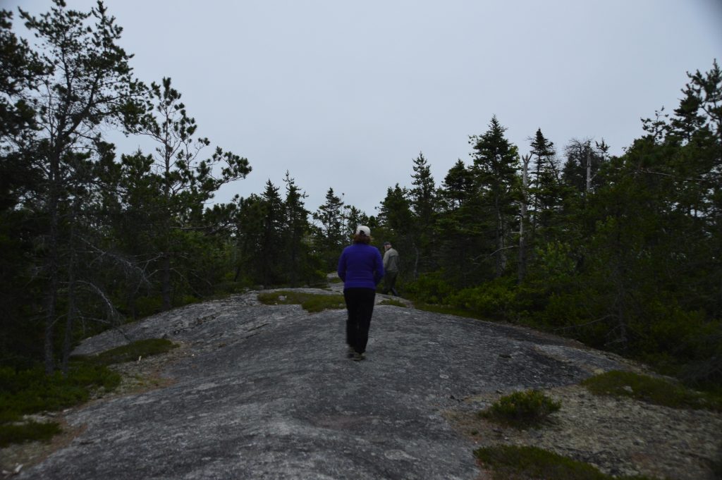 Birding on the Granite Waleback