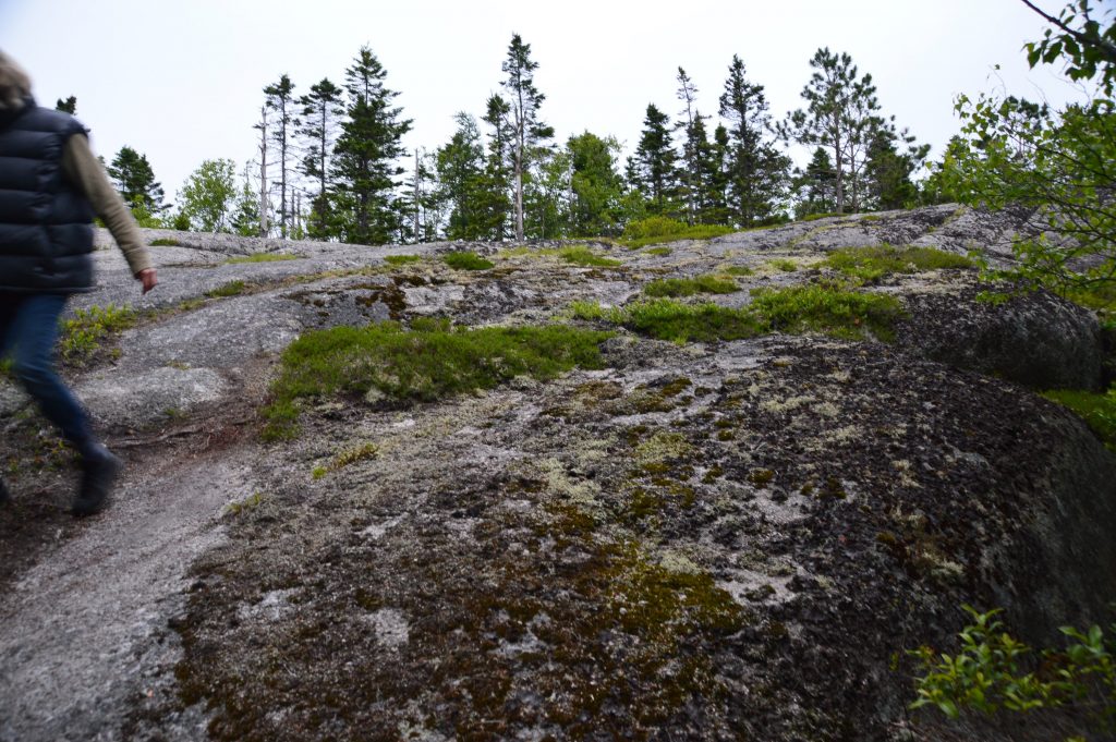 Descent from the Summit