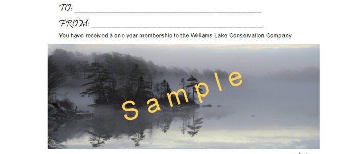 Give the Gift of a WLCC Membership!