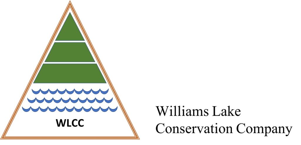 WLCC logo