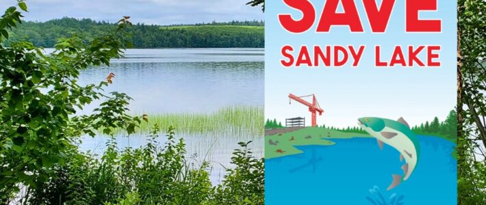 Save Sandy Lake poster