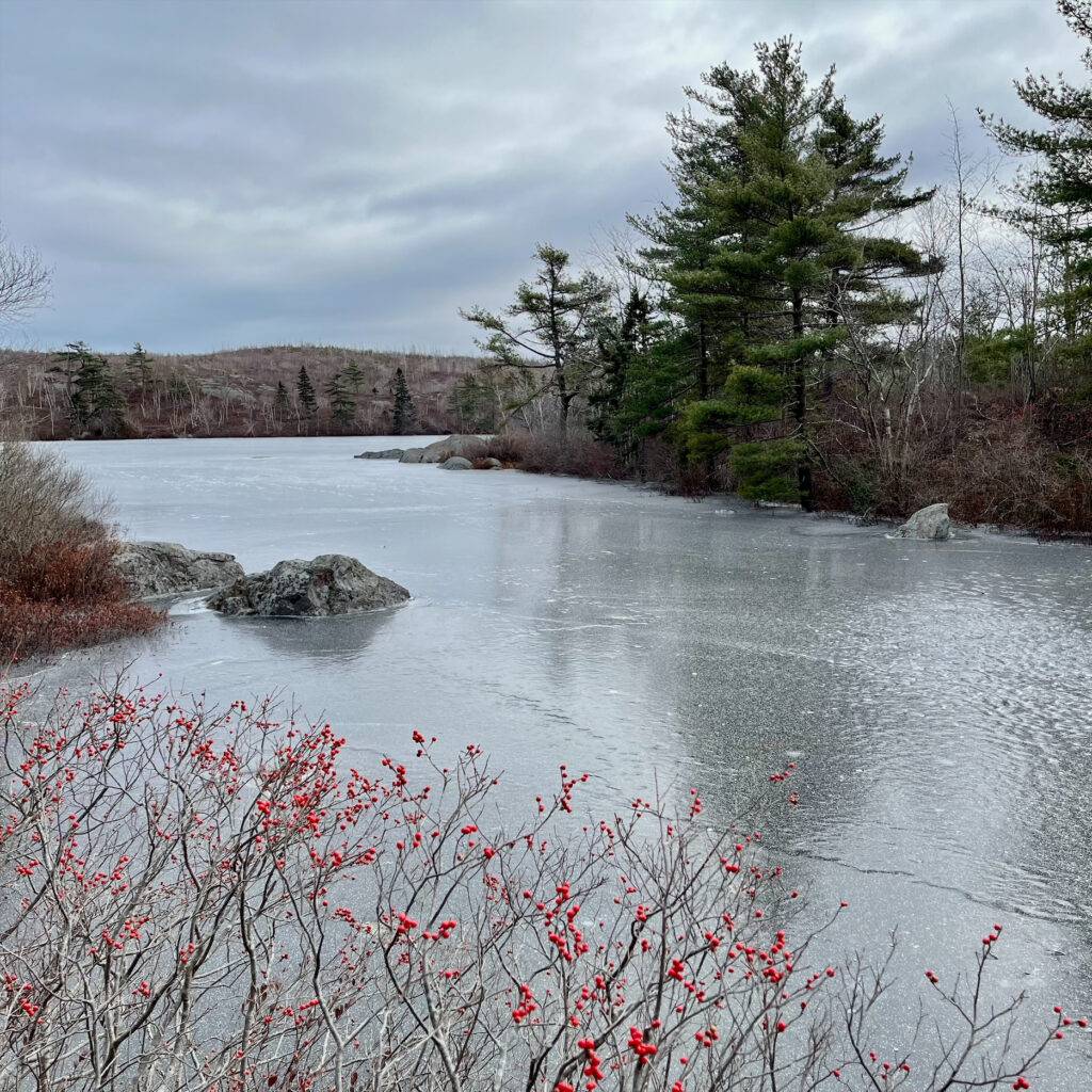 Frozen Williams Lake, Halifax seen from Wyndrock Drive