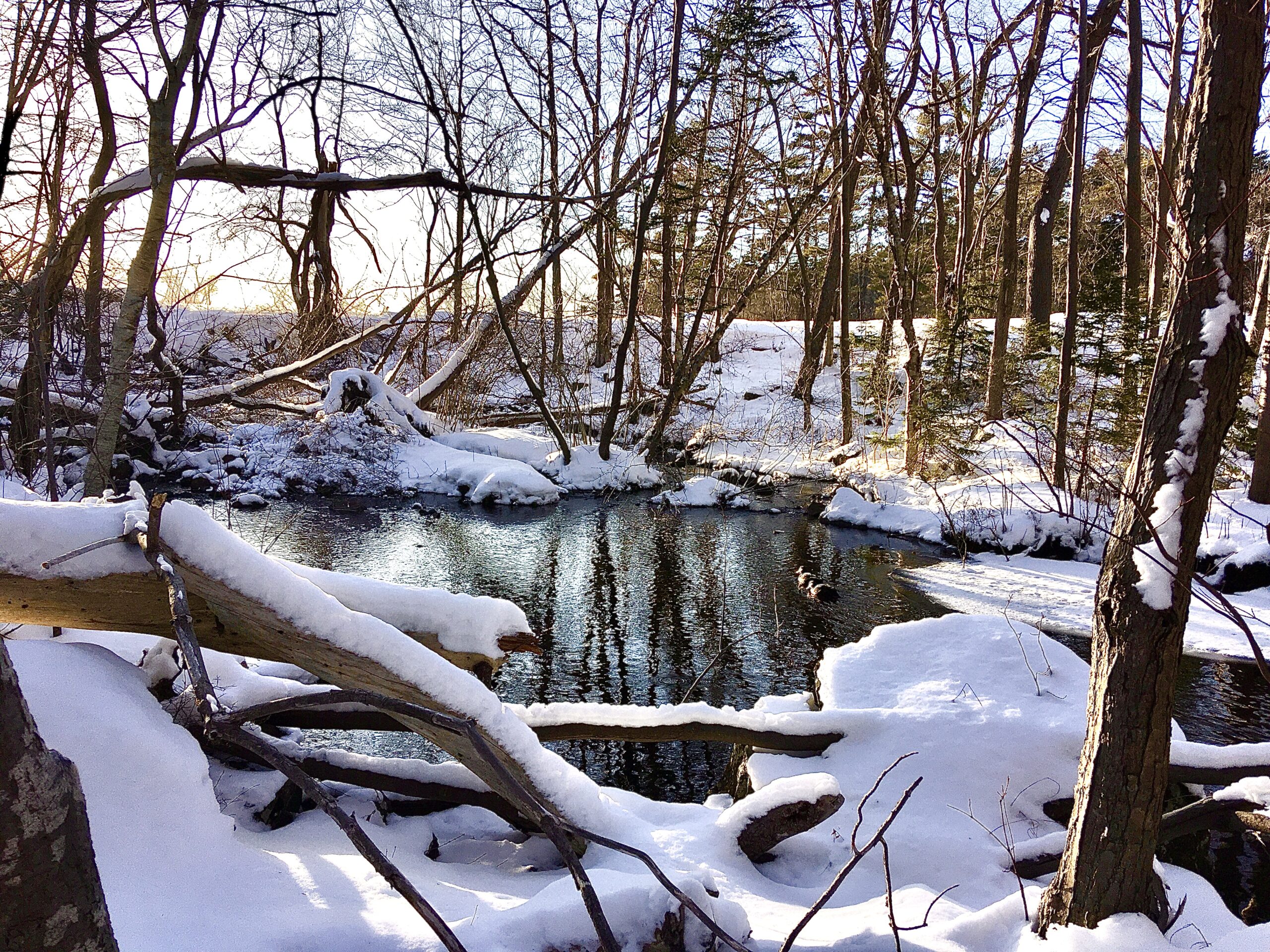 Williams Lake Dam area in winter before site preparation