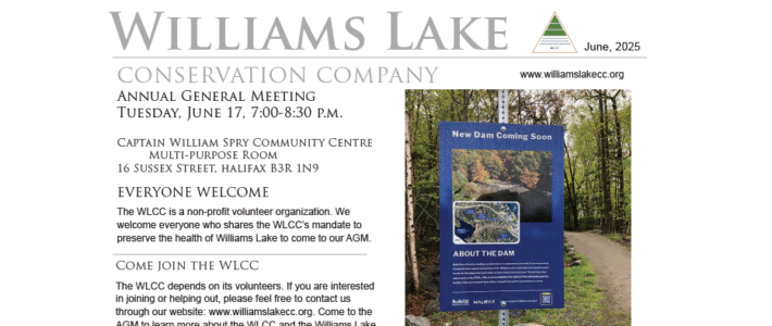 WLCC Newsletter 2025 Published WLCC Newsletter 2025 Published