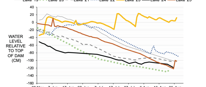 Water Levels & Water Quality Measurements, Aug 2025 Water Levels Graph Aug 2025