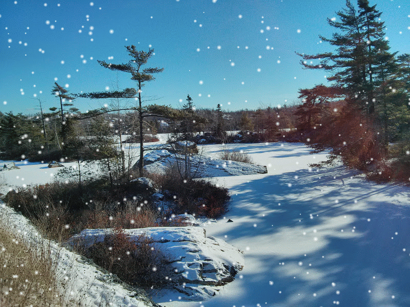 Happy Holidays, Williams Lake!