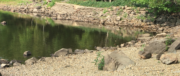 Williams Lake Dam before replacement