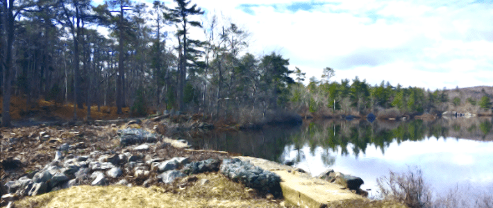 BuildNS picture of old dam