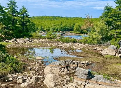 rocky lake bed